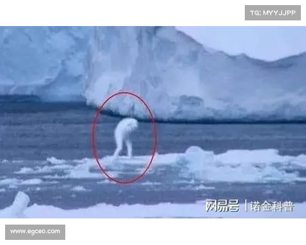 深海迷雾中的幽灵传说探秘之旅与未知海域神秘现象研究