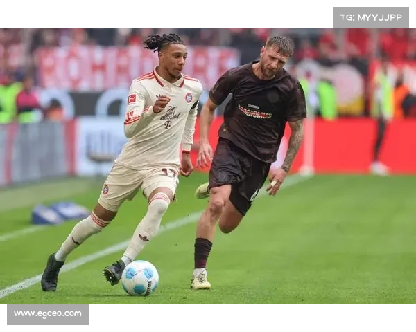 如何通过官方网站和资料了解拜仁慕尼黑体育场的正式名称及其历史背景