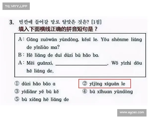 巴舒亚伊语言背景及其对比分析：多元文化语境下的语言特征与社会意义